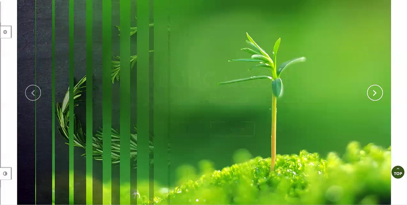 Ves Flower - Magento Flower Theme Review