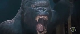King Kong 2005 Top (Best and Worst Horror Villains)