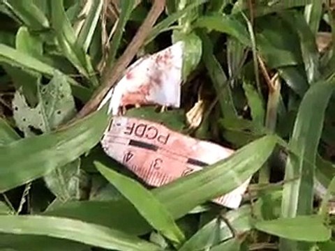 Jornal local: corpo asa sul