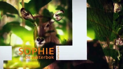 Komt een Aap bij de Dokter seizoen 2 afl. 4