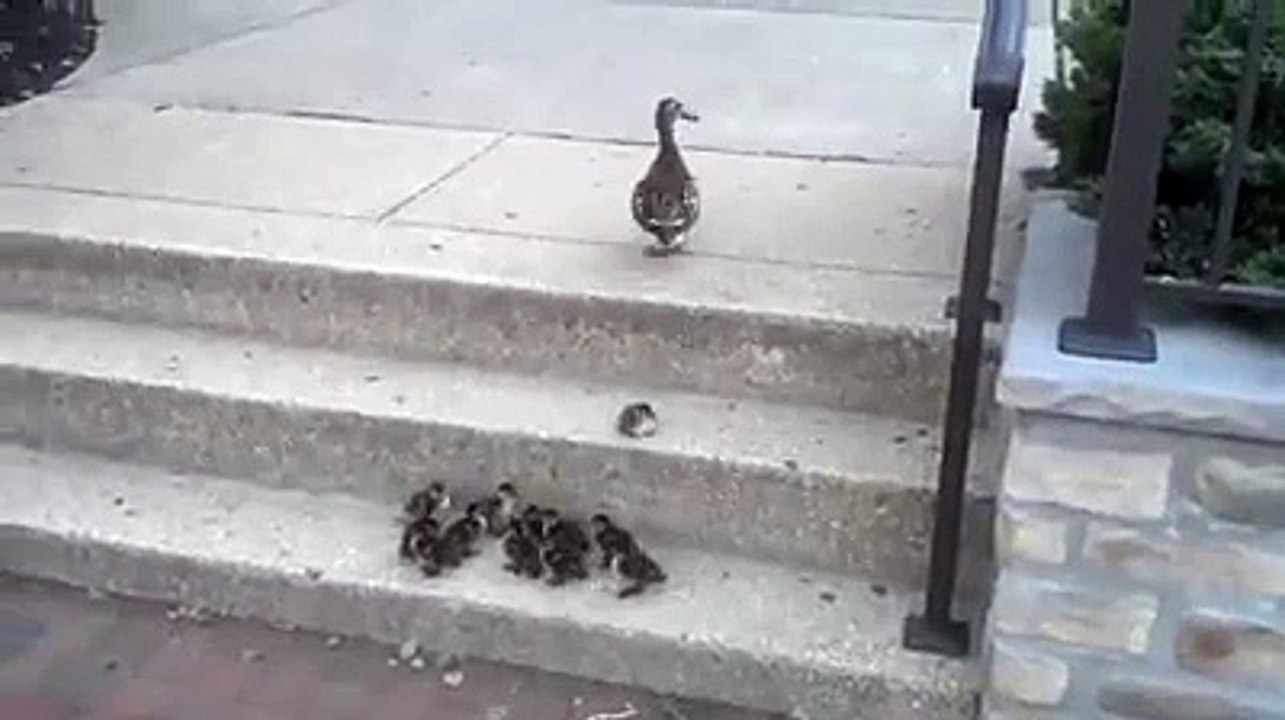 Allah is Always with U (by.Syed Tahir Ali Shah)