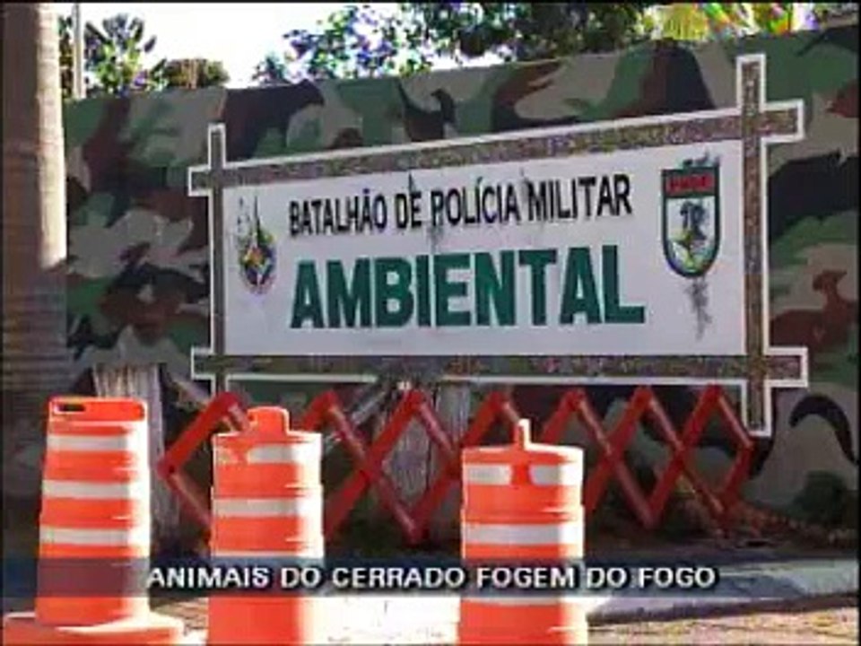 Fogo no Cerrado