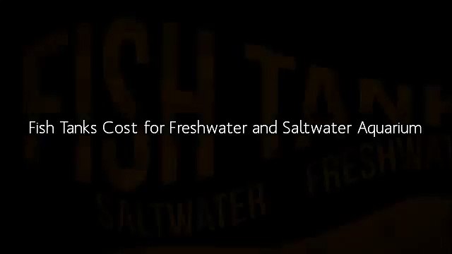 Fish Tank Guide - How to choose Aquarium fish tank -Saltwater Vs Freshwater