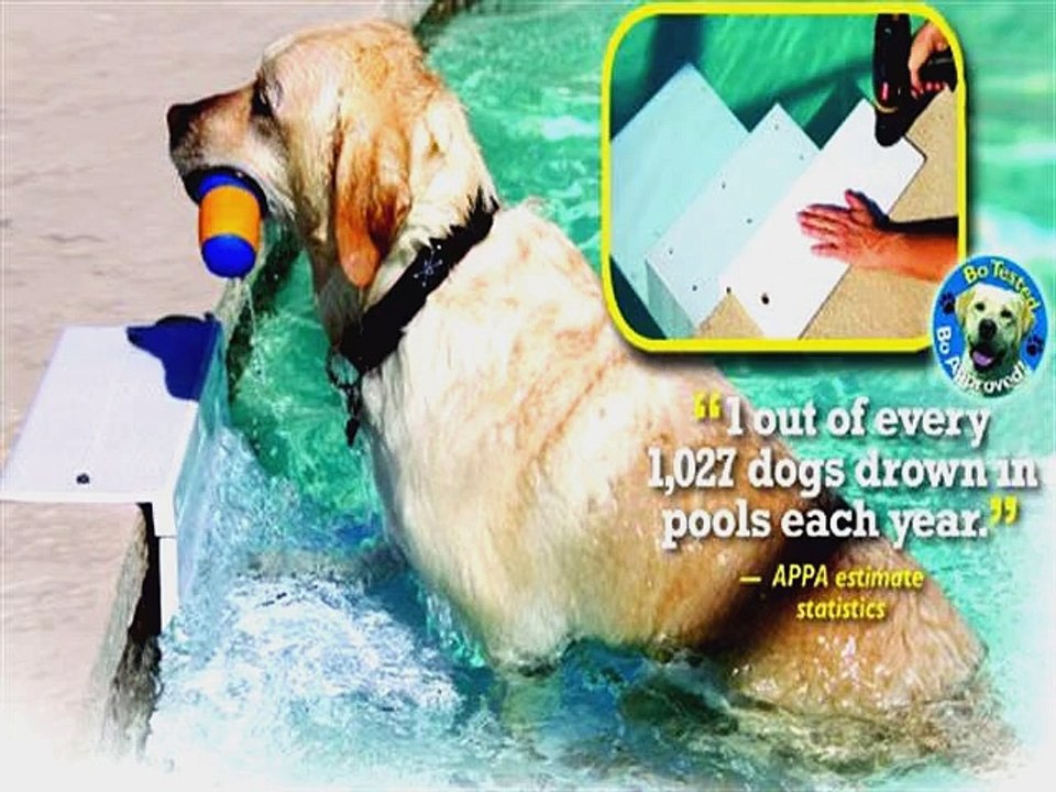 Most Popular Pool Ramps to buy
