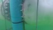 Attaque de grand requin blanc filmée dans une cage sous l'eau - Les dents de la mer en vrai