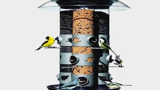 Most Popular Insect Feeders to buy