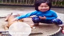 Eating Dog: Little Girl Finds Her Missing Dog Roasted And Ready For Sale At Dog Meat Market(REPORT)!