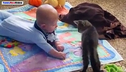 Compilation of Funny Cats & Babies Videos 2015