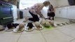Ten Labrador Puppies Eating For The First Time Is Beyond Adorable