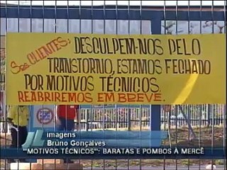 Ratos, baratas e produtos vencidos