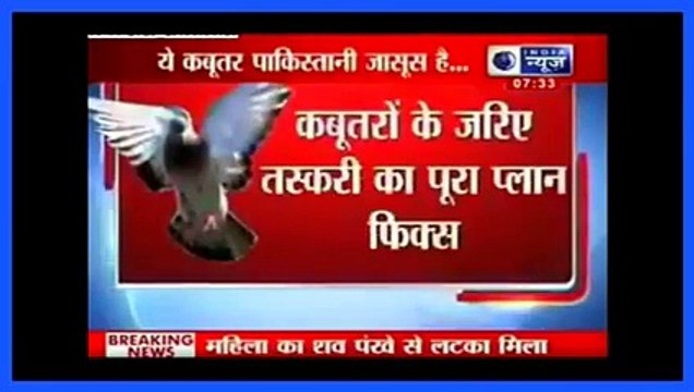 پاکستان بھارت میں جاسوسی کیلئے کبوتربھجوارہا ہے۔ انڈین میڈیا کا نیا شوشہ، آپ بھی دیکھئے اور ہنسئے انڈین میڈیا کے بھونڈے الزام پر