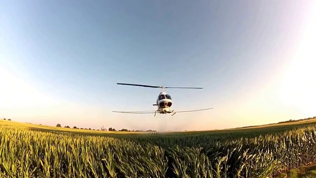 Helicopter crop dusting in Kentucky