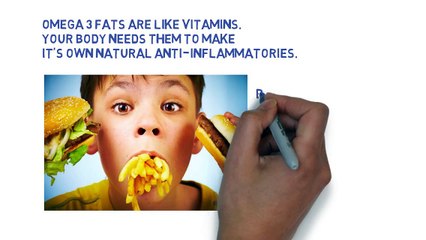 Minneapolis, Mn Doctor Of Chiropractic