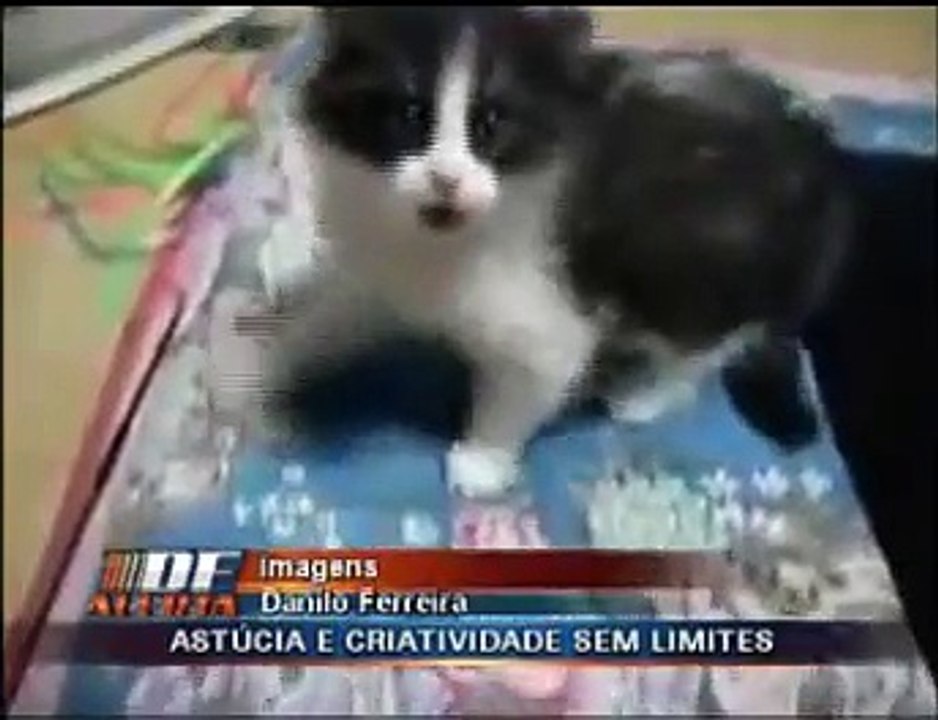Avião depenado