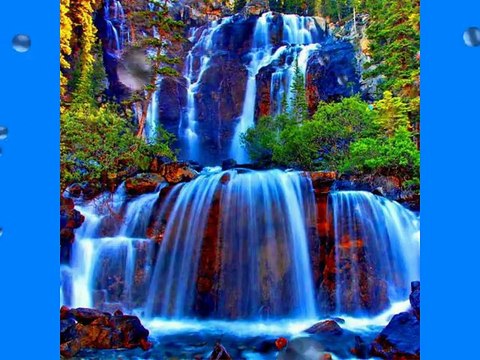 LA FAMILLE LA NATURE LES AMIS QUE DU BONHEUR