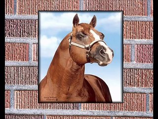 GRUPO LABERINTO-EL TORINO