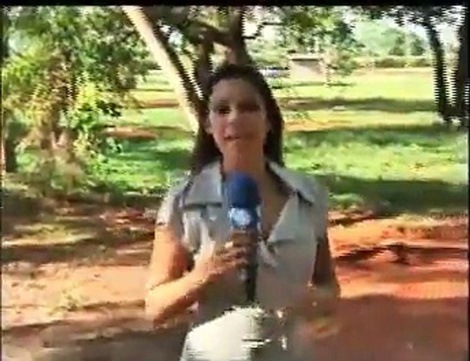 Jaca gigante