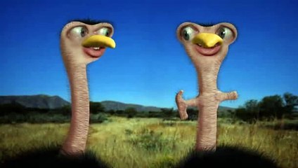 Les autruches (Tetesaclaques.tv)