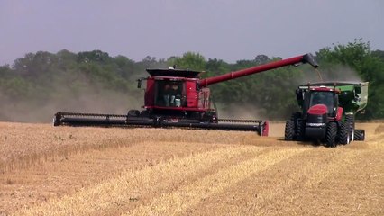 Case IH 340 MAGNUM Tractor