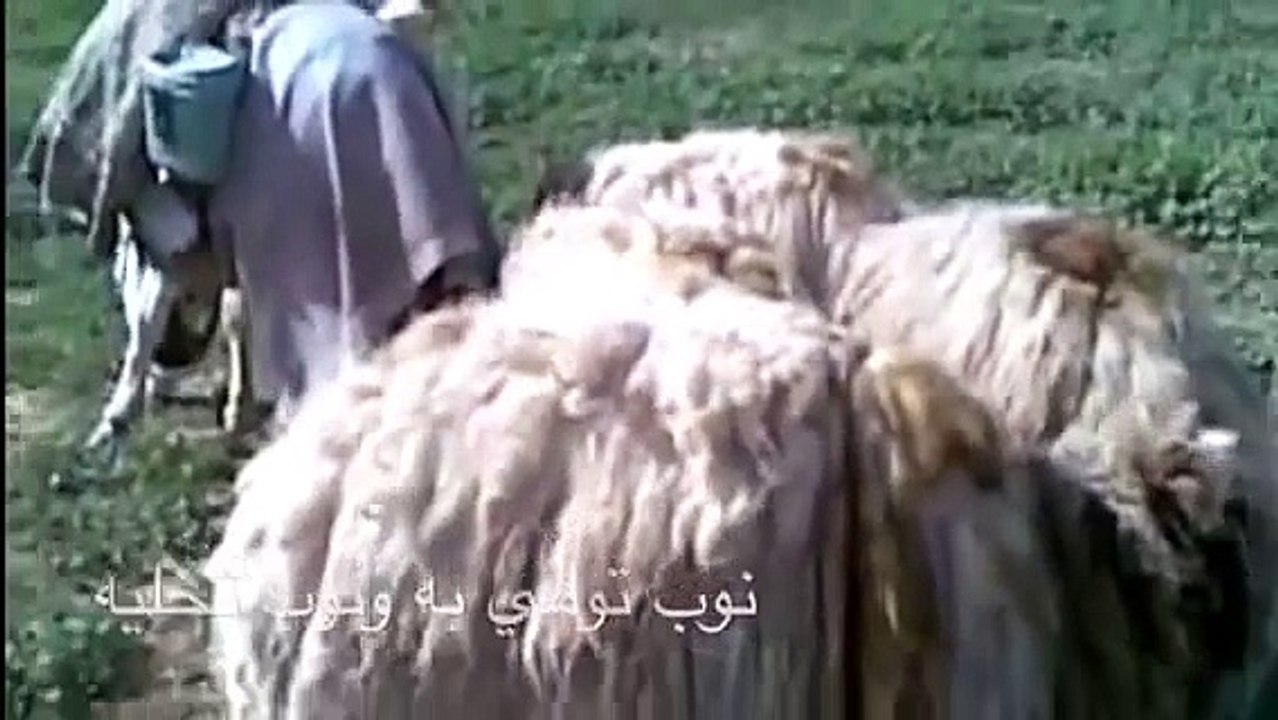 ربابة دغيم الظفيري الله من قلب تلوعة طوارية