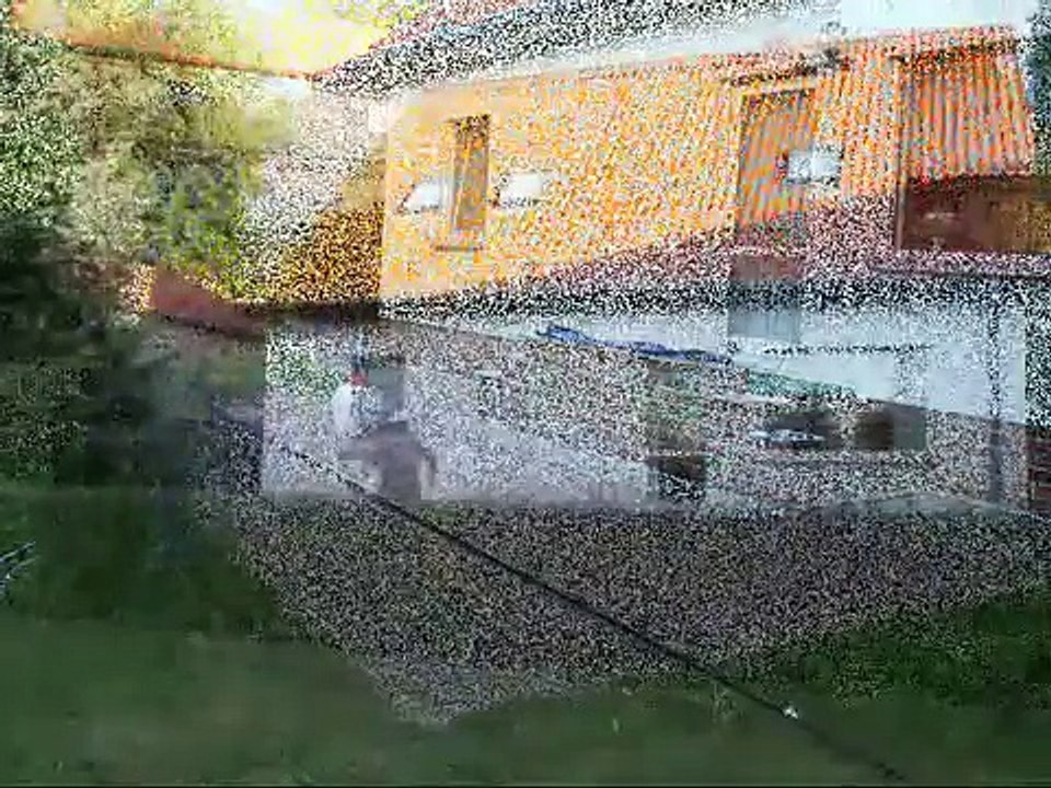 Dachreinigung mit Teleskoplanze einfach selbst gemacht!
