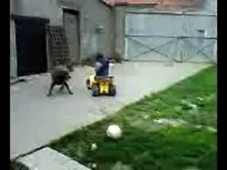 titi en quad bis
