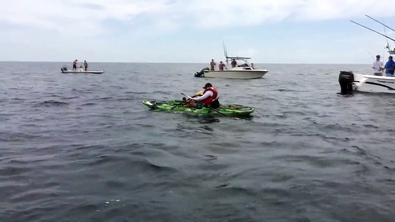 Shark Capsizes Boat Angler Swims For Life Then Catches Shark