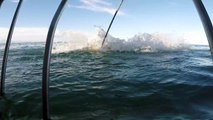 Best Shark Attack Video - gigantic Great White Shark in South Africa while Cage Diving