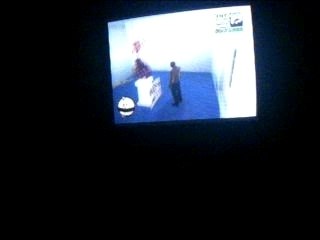 11 éme affiche de grand theft auto vcs