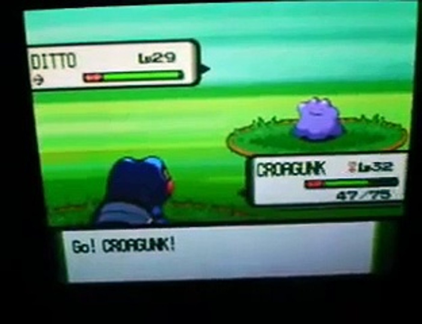 Pokemon Diamond Pearl Where To Find Ditto Video Dailymotion