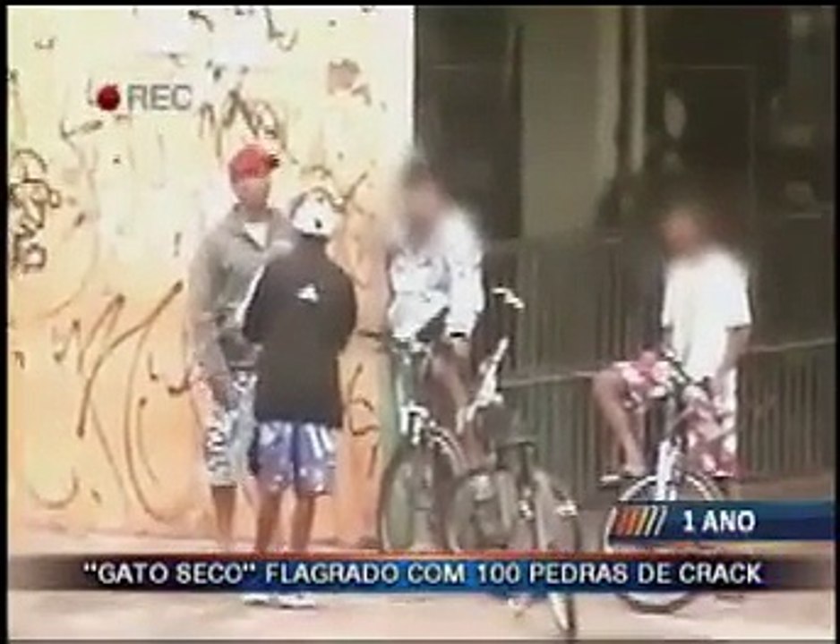Gato Seco