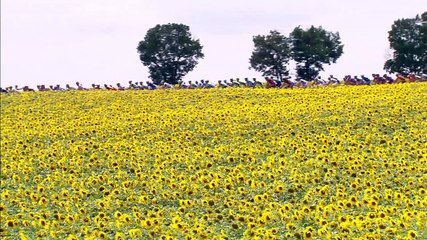 Le Tour, c'est aussi des images à couper le souffle