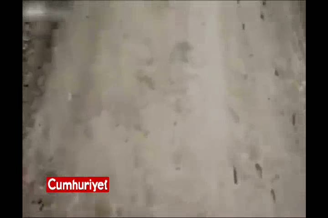 Anne fare ile yavrularından yılan taklidi