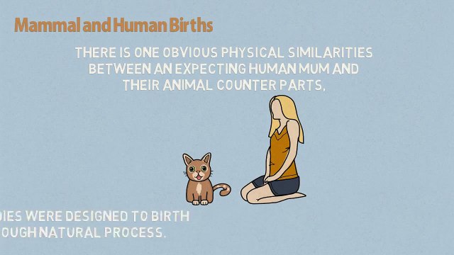 Hypnobirthing Online - Human Birth versus Animal Birth