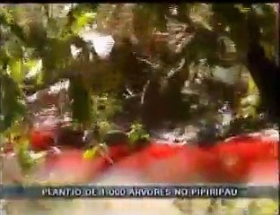 Consciência ambiental