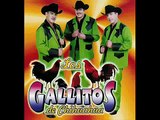 Los Gallitos de chihuahua - corrido de chuy gonzalez.wmv