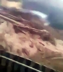 Walked out the door, and there's a flood