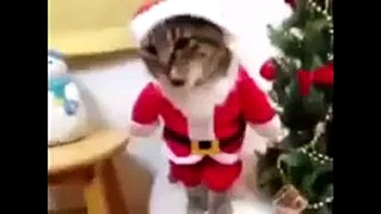 ЛУЧШИЕ ПРИКОЛЫ и неудачи!!! Ultimate FAILS Compilation - Best Funny Videos !!!