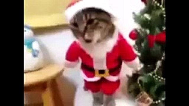 ЛУЧШИЕ ПРИКОЛЫ и неудачи!!! Ultimate FAILS Compilation - Best Funny Videos !!!