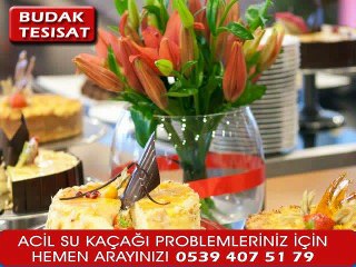 Aydintepe Noktasal Su Kaçağı Arama0539 407 5179 HEMEN ARAYINIZ