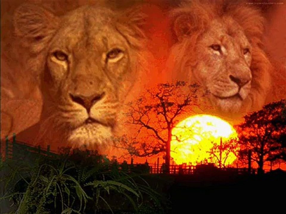 La Comédie Burkinabé de GERRARD OUEDRAOGO