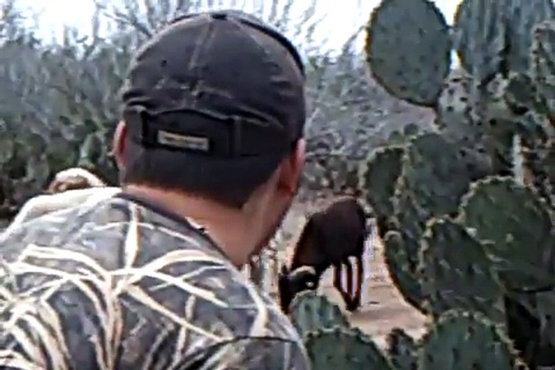 Texas Dall Ram Hunt   BOWKILL!!!!