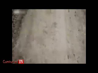 Anne fare ile yavrularından yılan taklidi