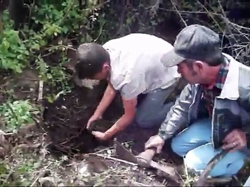 en los armadillos 2010