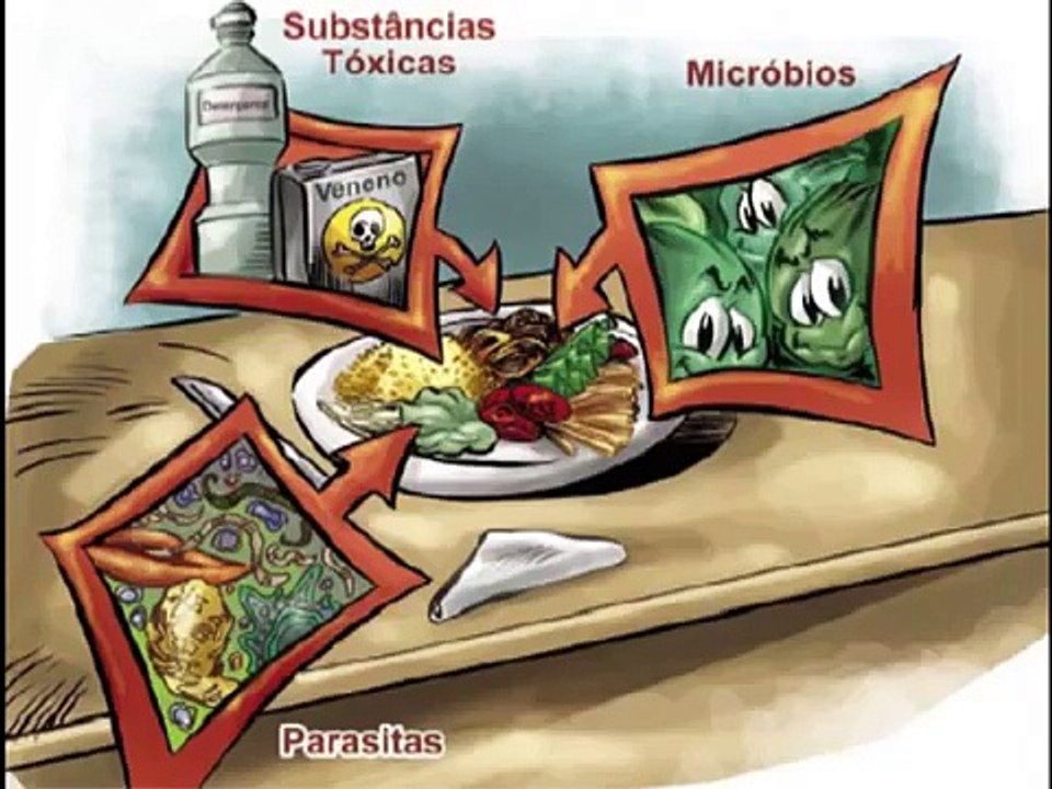 Cartilha de Boas Práticas para Manipuladores de Alimentos - ANVISA
