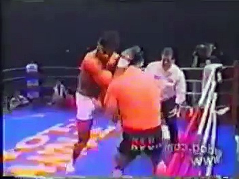 Alistair Overeem Highlight
