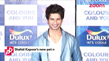 Shahid Kapoor gets a new nickname from Mira Rajput - Bollywood Gossip