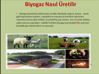 TEMİZ ENERJİ KAYNAKLARI BİYOGAZ