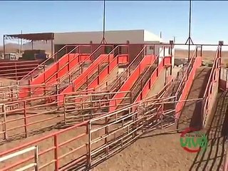 Exportación de ganado