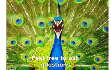 National Geographic Animal Photos